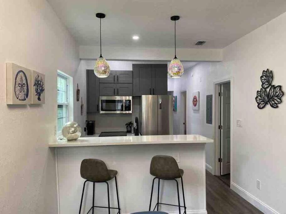 Contemporary 1-Bedroom Private Bungalow Walk To Armature & Riverwalk Tampa Extérieur photo